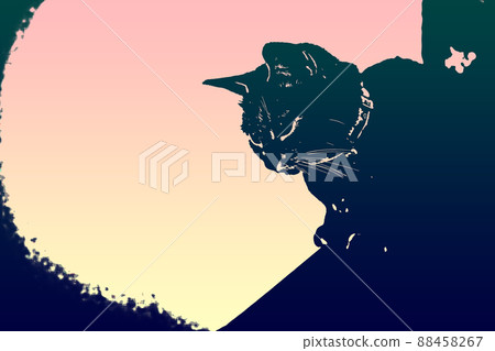 Cat Cat Cat Kijitora White Gray Kitten Female Female Female Cat Female Cat Female Cat Cheerful Cute Healing Cat Cat Cat Kijitora White Gray Kitten Female Female Female Cat Female Cat Female Cat Cheerful Cute Healing 88458267