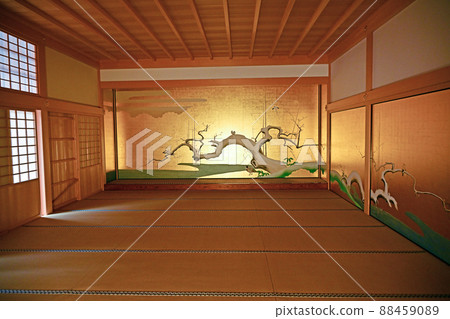 Nagoya Castle Honmaru Gotemba 88459089