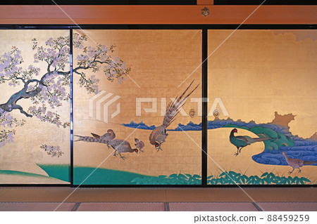 名古屋城堡本丸御殿場 88459259