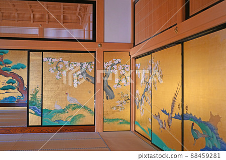 Nagoya Castle Honmaru Gotemba 88459281