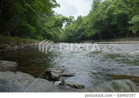 Isuzu River _ Isuzu River _ Ise Jingu 88460397