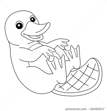 Platypus Animal Coloring Page Isolated for Kids 88460957