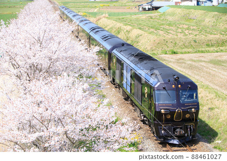 A row of cherry blossom trees in full bloom and the cruise train "Nana Stars in Kyushu" (JR Kyushu) A row of cherry blossom trees in full bloom and the cruise train "Nana Stars in Kyushu" (JR Kyushu) 88461027