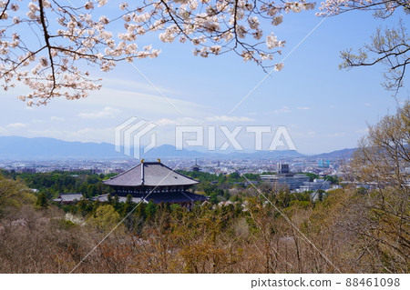 櫻花盛開宣言日東大寺和興福寺五層塔 櫻花盛開宣言日東大寺和興福寺五層塔 88461098