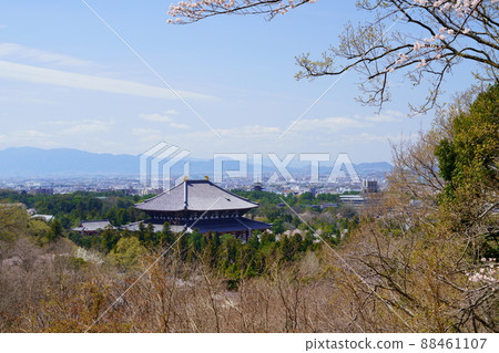 Todaiji Temple and Kofukuji Five-storied Pagoda on the day of the declaration of full bloom of cherry blossoms Todaiji Temple and Kofukuji Five-storied Pagoda on the day of the declaration of full bloom of cherry blossoms 88461107
