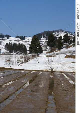 為大雪地區水稻種植做準備 為大雪地區水稻種植做準備 88461397