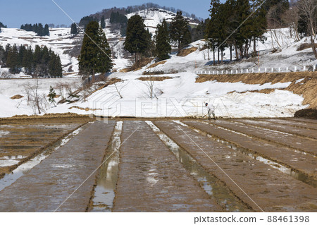 為大雪地區水稻種植做準備 為大雪地區水稻種植做準備 88461398