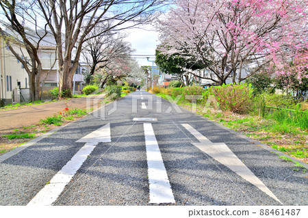 Lake Tamako Bicycle Pedestrian Road / Kodaira Station-Hagiyama Station (Higashimurayama City, Tokyo) [2022.3] 88461487