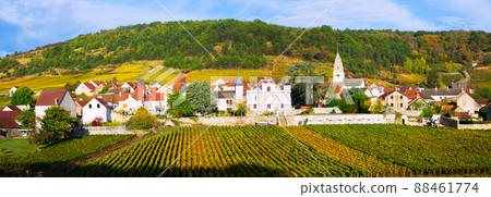 Image of Saint-Aubin, Burgundy - french village with famous vineyards 88461774