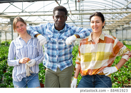 Successful team of greenhouse workers on background of potted plants 88461923