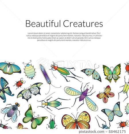 hand drawn insects background banner poster - Stock Illustration ...