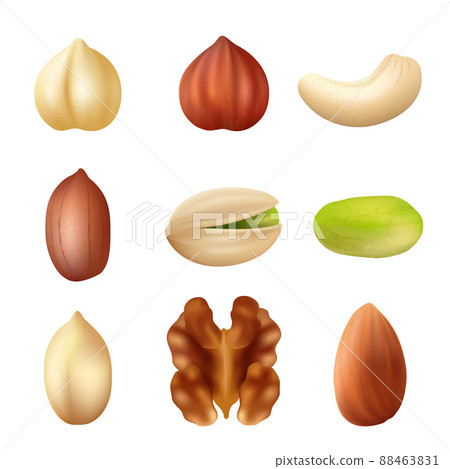 Nuts collection. Nature food dried cashew healthy peanut crumbs agriculture picture Nuts collection. Nature food dried cashew healthy peanut crumbs agriculture picture 88463831