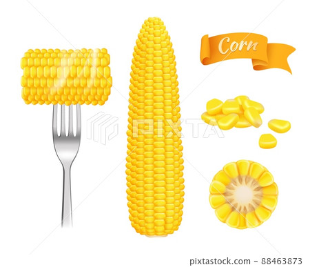 Corn realistic. Harvest fresh cut grains eating corn template 88463873