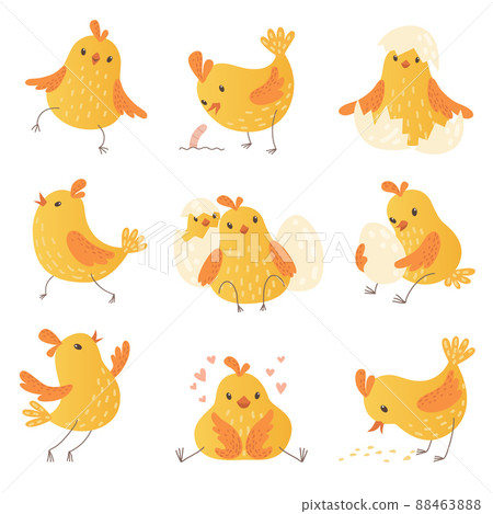 Cartoon chicken. Egg cute yellow little farm birds funny chick characters collection 88463888