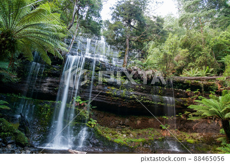 Russell Falls, a divine view Russell Falls, a divine view 88465056