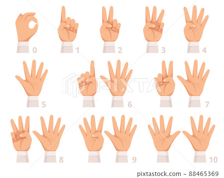 Hands gesture numbers. Human palm and fingers show different numbers cartoon illustration 88465369