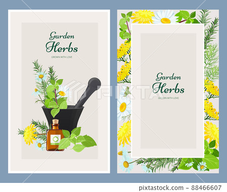 Floral cards. Herbalism medicine products wild herbs and flowers vintage design template 88466607