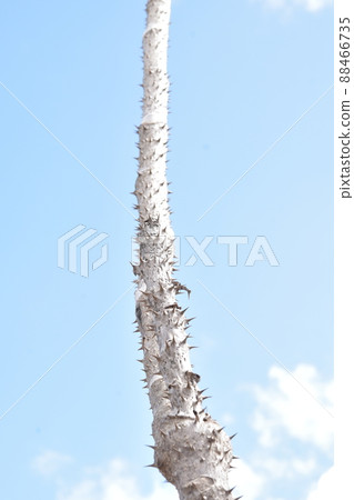 塔拉藍天 88466735