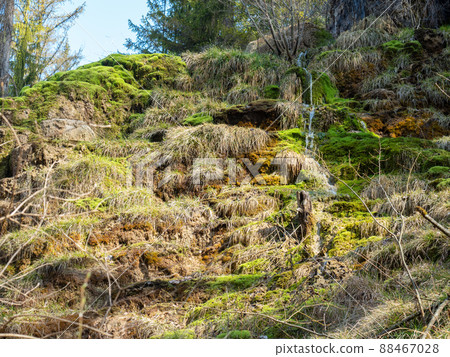 The waterfall of Tuefels Chilen in the hills around Zurich, Switzerland, is famous for its sedimentary tuff structure. The waterfall of Tuefels Chilen in the hills around Zurich, Switzerland, is famous for its sedimentary tuff structure. 88467028