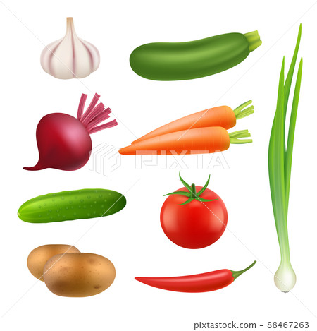 Fresh vegetables products. Healthy vegan agriculture food potato carrot cooking ingredients isolated realistic illustrations Fresh vegetables products. Healthy vegan agriculture food potato carrot cooking ingredients isolated realistic illustrations 88467263