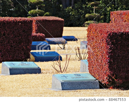 釜山聯合國紀念公園 釜山聯合國紀念公園 88467553