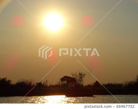 Liwonde National Park (Safari Tour) in Malawi, Africa 88467782