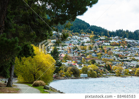 Trees colored with autumn leaves and the cityscape seen from the shore of Lake Wakatipu in Queenstown, New Zealand 88468583