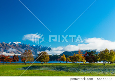 從新西蘭奧塔哥瓦納卡的彭布羅克公園看到的羅伊山 從新西蘭奧塔哥瓦納卡的彭布羅克公園看到的羅伊山 88468888