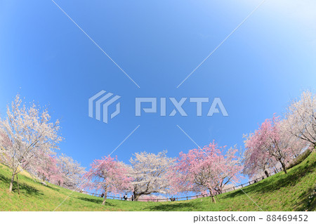 千葉縣成田市成田市櫻山市 千葉縣成田市成田市櫻山市 88469452