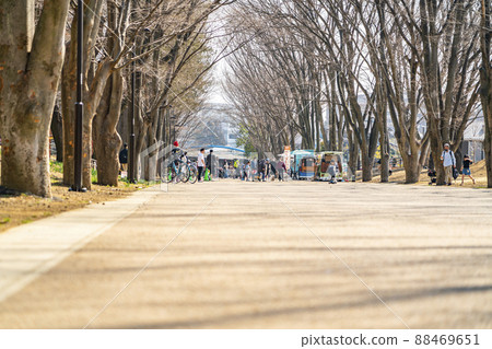 [Tokyo] Tsuruma Park in Machida City, where the winter sunshine is warm 88469651