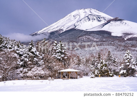 《Shizuoka Prefecture》 Mt. Fuji and rime / Mizugatsuka Park 88470252