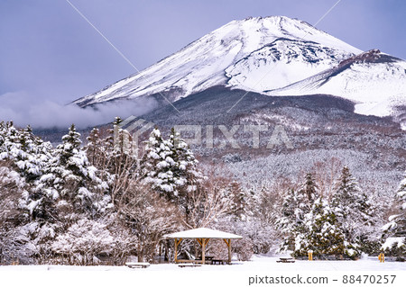 《靜岡縣》富士山和霧凇/水塚公園 《靜岡縣》富士山和霧凇/水塚公園 88470257