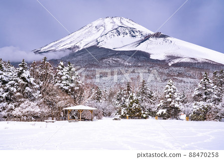 《靜岡縣》富士山和霧凇/水塚公園 《靜岡縣》富士山和霧凇/水塚公園 88470258