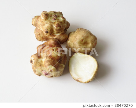 Jerusalem artichoke that is good for your health Jerusalem artichoke that is good for your health 88470270