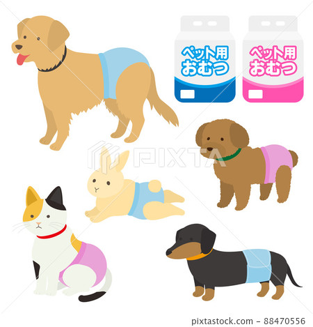 穿著尿布的寵物的插圖 88470556