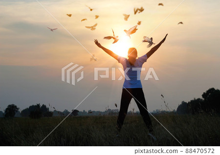 Woman praying and free the birds enjoying nature on sunset background, hope concept 88470572