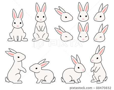 White rabbit illustration set 88470832