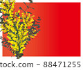 春天的花束_含羞草和桉樹（花束） 88471255