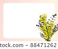 春天的花束_含羞草和桉樹（花束） 88471262