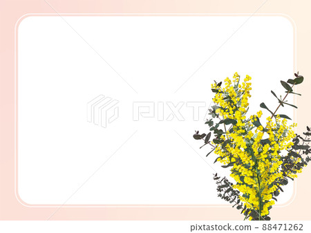 春天的花束_含羞草和桉樹（花束） 88471262