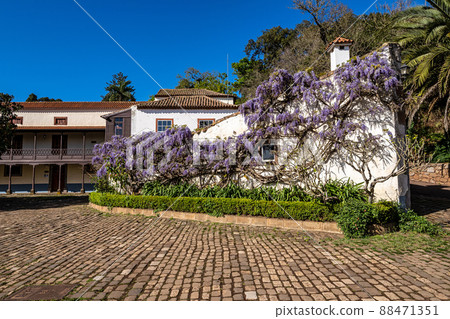 Flowers in the Finca de Osorio Park near Teror, Gran Canaria Island, Spain 88471351