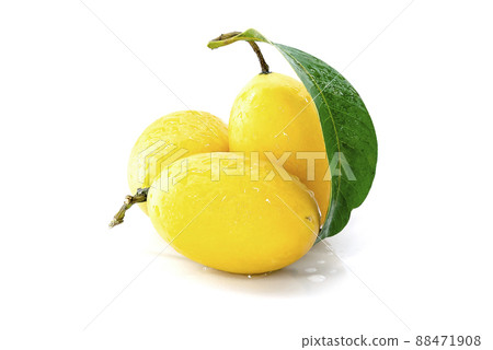 Marian Plum, Plum Mango, yellow fresh fruit and green leaf. Summer fruit with a sweet and sour taste. isolated on white background. 88471908