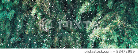 Christmas tree branches background with falling snow Christmas tree branches background with falling snow 88472999