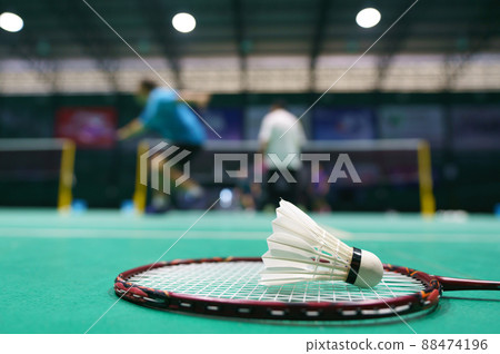 shuttlecock on green badminton playing court shuttlecock on green badminton playing court 88474196