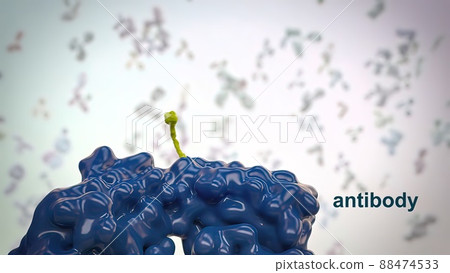Antibodies are proteins produced by the immune system to fight infections. Antibodies are proteins produced by the immune system to fight infections. 88474533