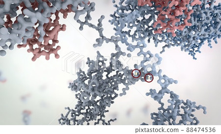 Antibodies are proteins produced by the immune system to fight infections. 88474536
