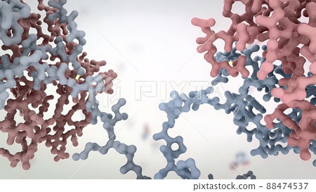 Antibodies are proteins produced by the immune system to fight infections. 88474537