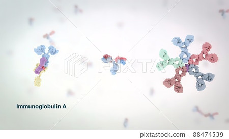 Antibodies are proteins produced by the immune system to fight infections. Antibodies are proteins produced by the immune system to fight infections. 88474539