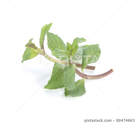 Herbal tea leaves isolated on white background 88474663