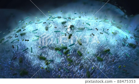 Bacteria in the immune system Bacteria in the immune system 88475353